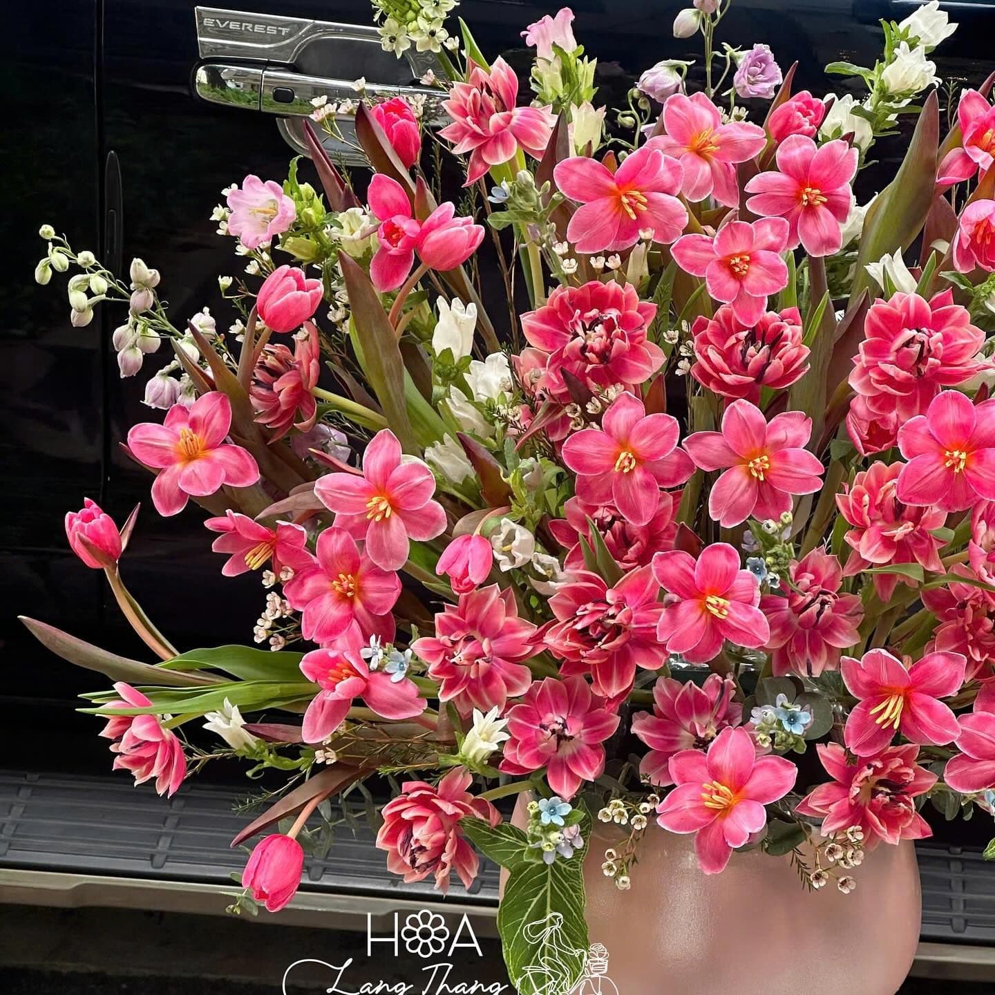 Tulip hồng nhuộm mix tulip nhiều cánh - Thumbnail 3