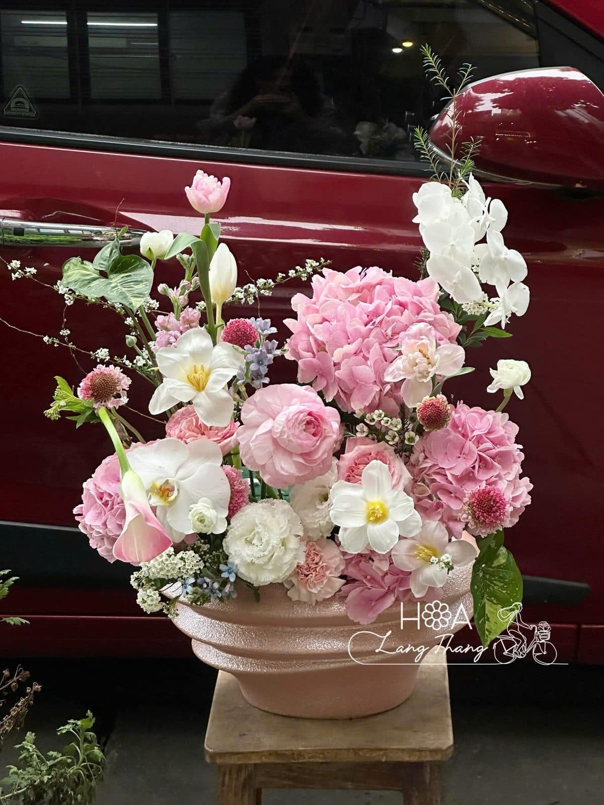 Tú cầu mix lan hồ điệp tulip