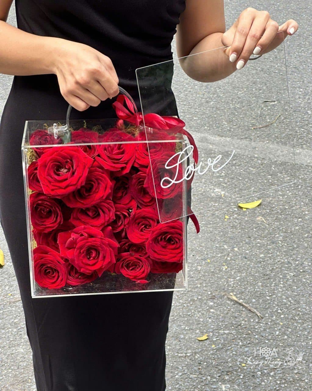Mica rednaomi sz vừa