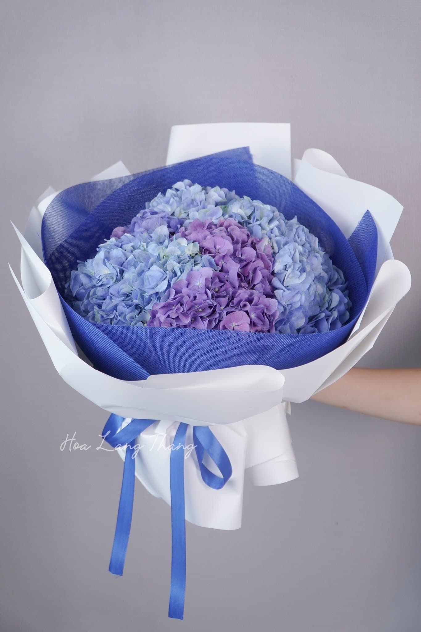 Đặt hoa cẩm tú cầu Hà Nội: Gợi ý và địa chỉ uy tín