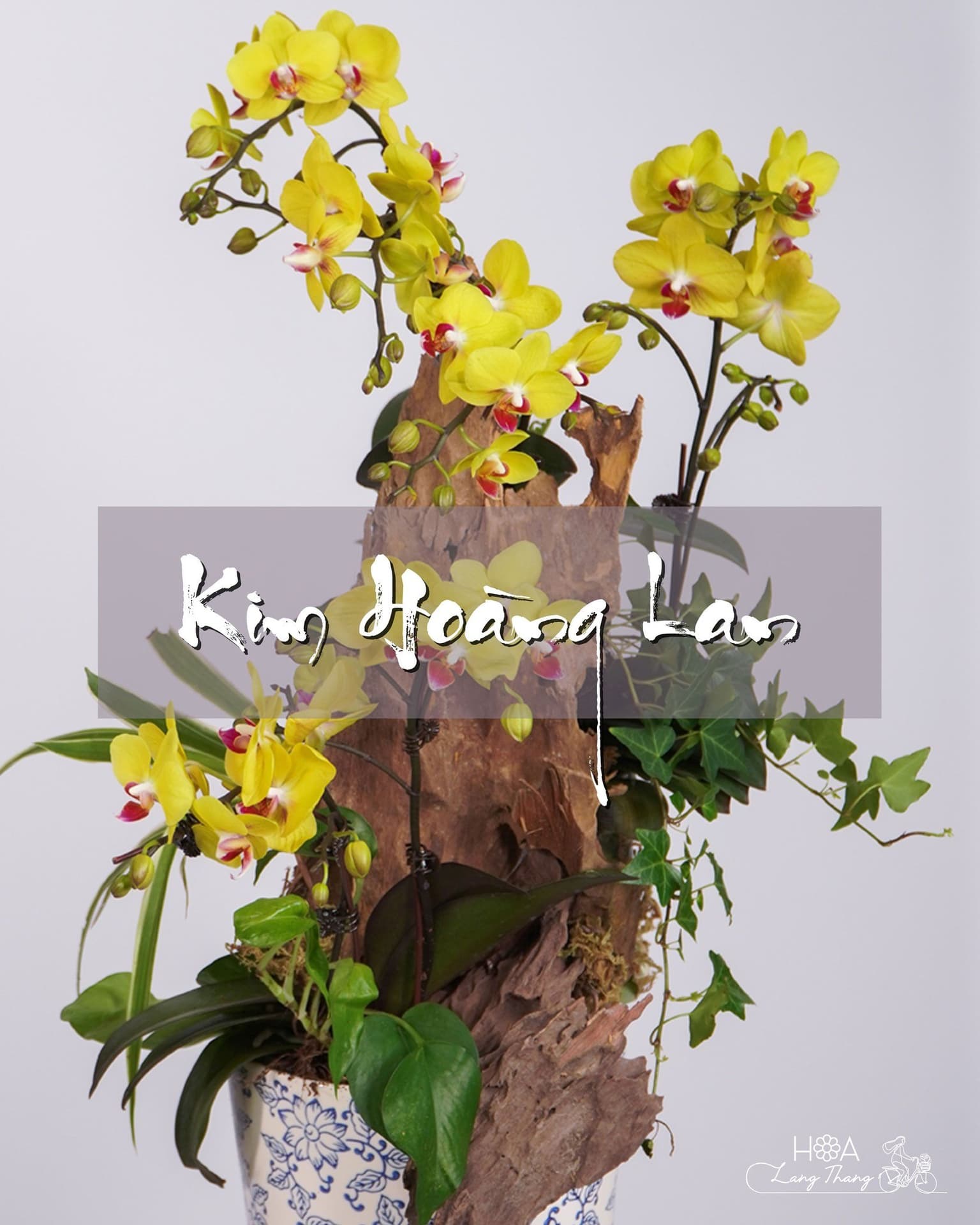 Giỏ hoa khai trương Hà Nội giá tốt tại Hoa Lang Thang
