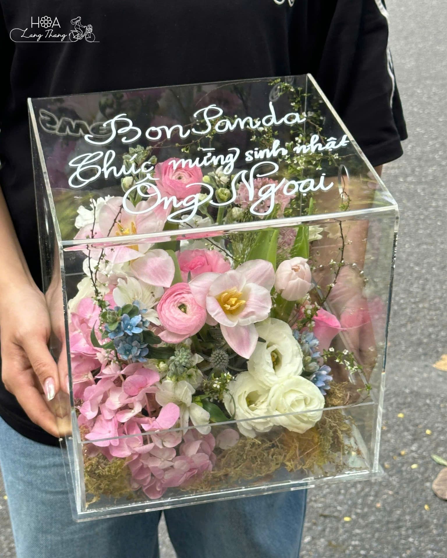 Shop Hoa Baby Hà Nội: Địa Chỉ Uy Tín Cho Hoa Baby