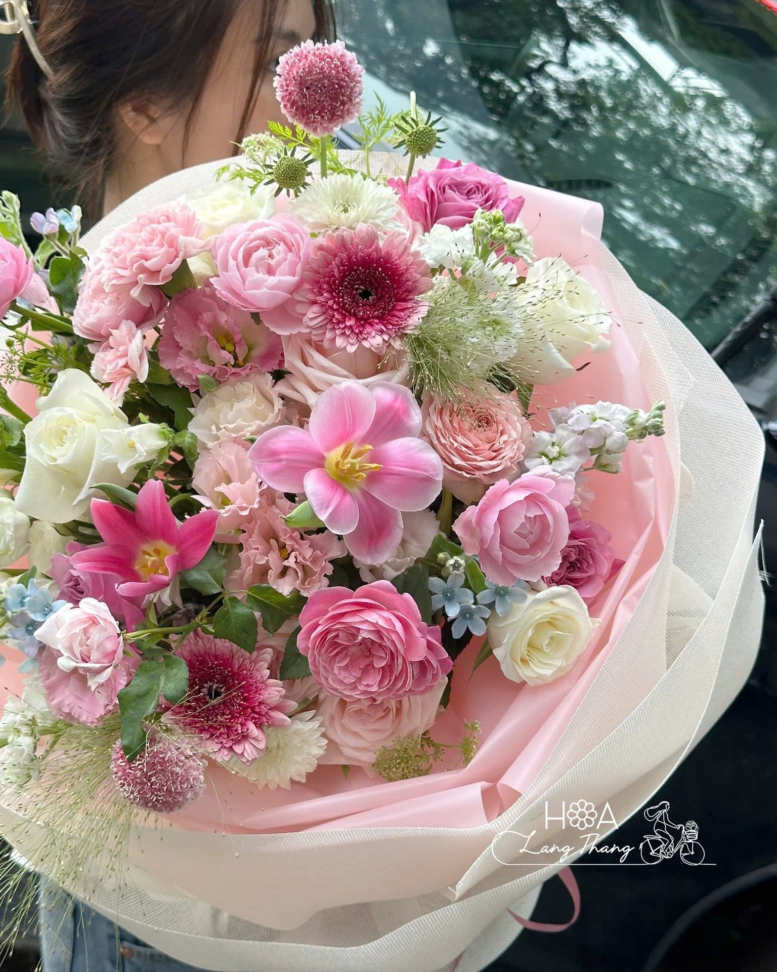 Tulip nhập khẩu Hà Lan chính ngạch: Sự lựa chọn hoàn hảo
