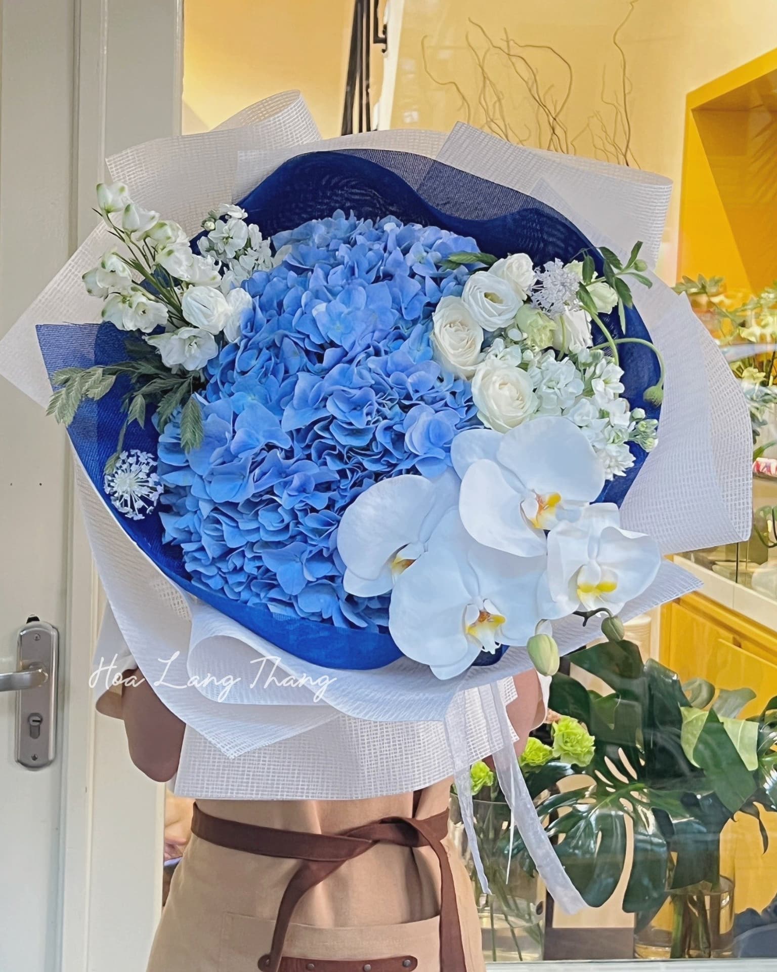 Đặt hoa cúc Hà Nội - Hoa tươi nhập khẩu cao cấp