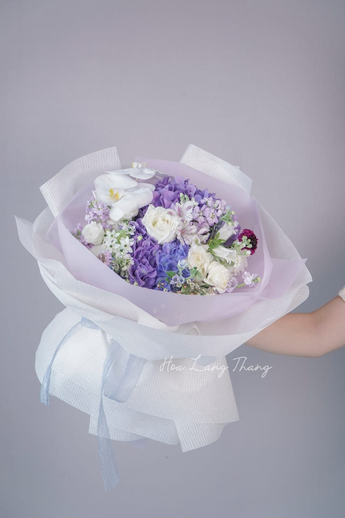 Amara Rose — góc khác