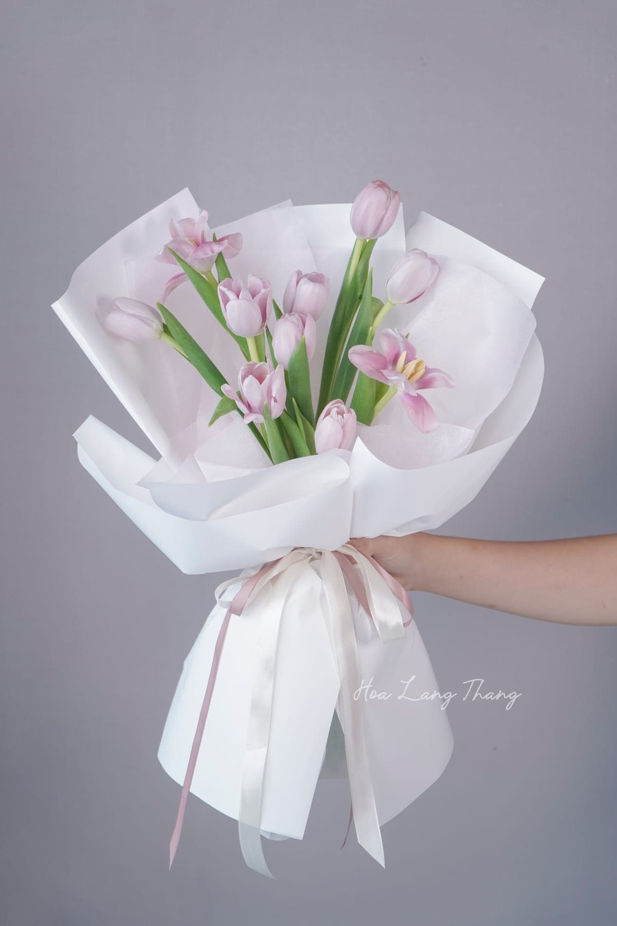 Aurora Tulip - Thumbnail 2