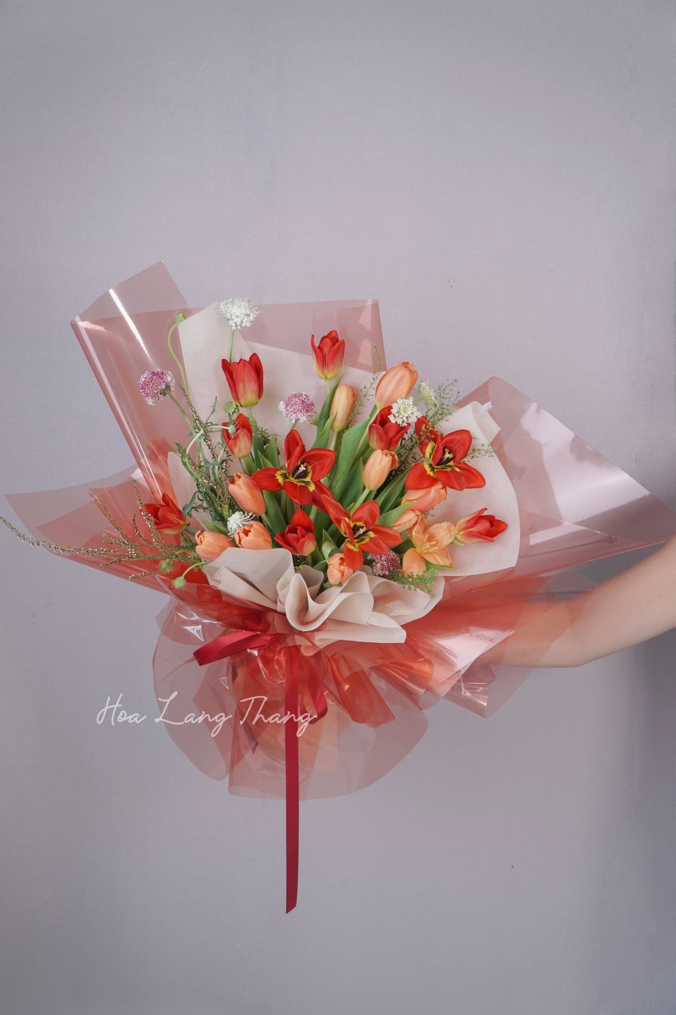 Hoa Tulip Hà Lan Giá Bao Nhiêu? Bảng Giá Chi Tiết 2024