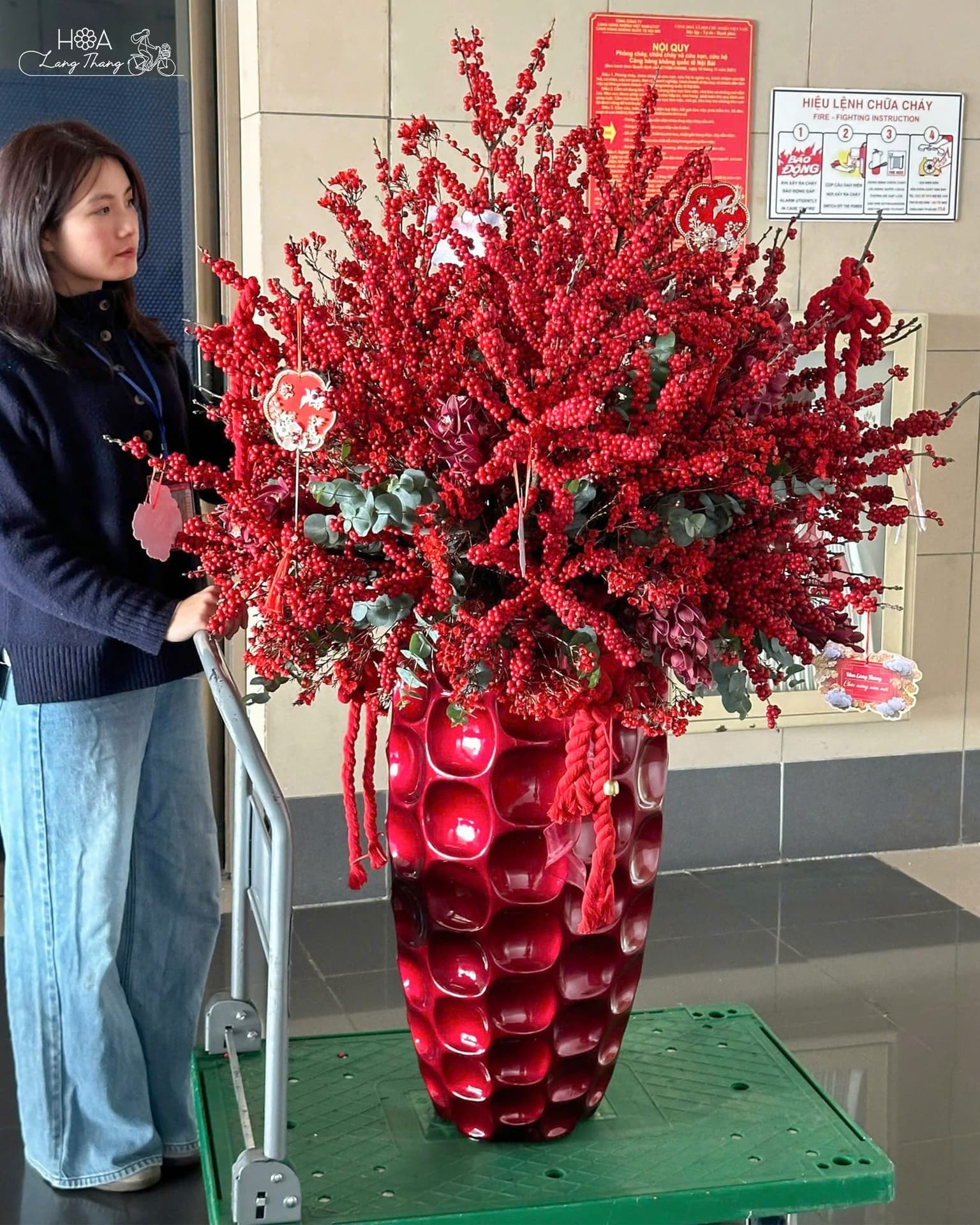 Hoa Tặng Khai Trương Ý Nghĩa Phong Thủy – Khởi Đầu Thịnh Vượng Cùng Hoa Lang Thang