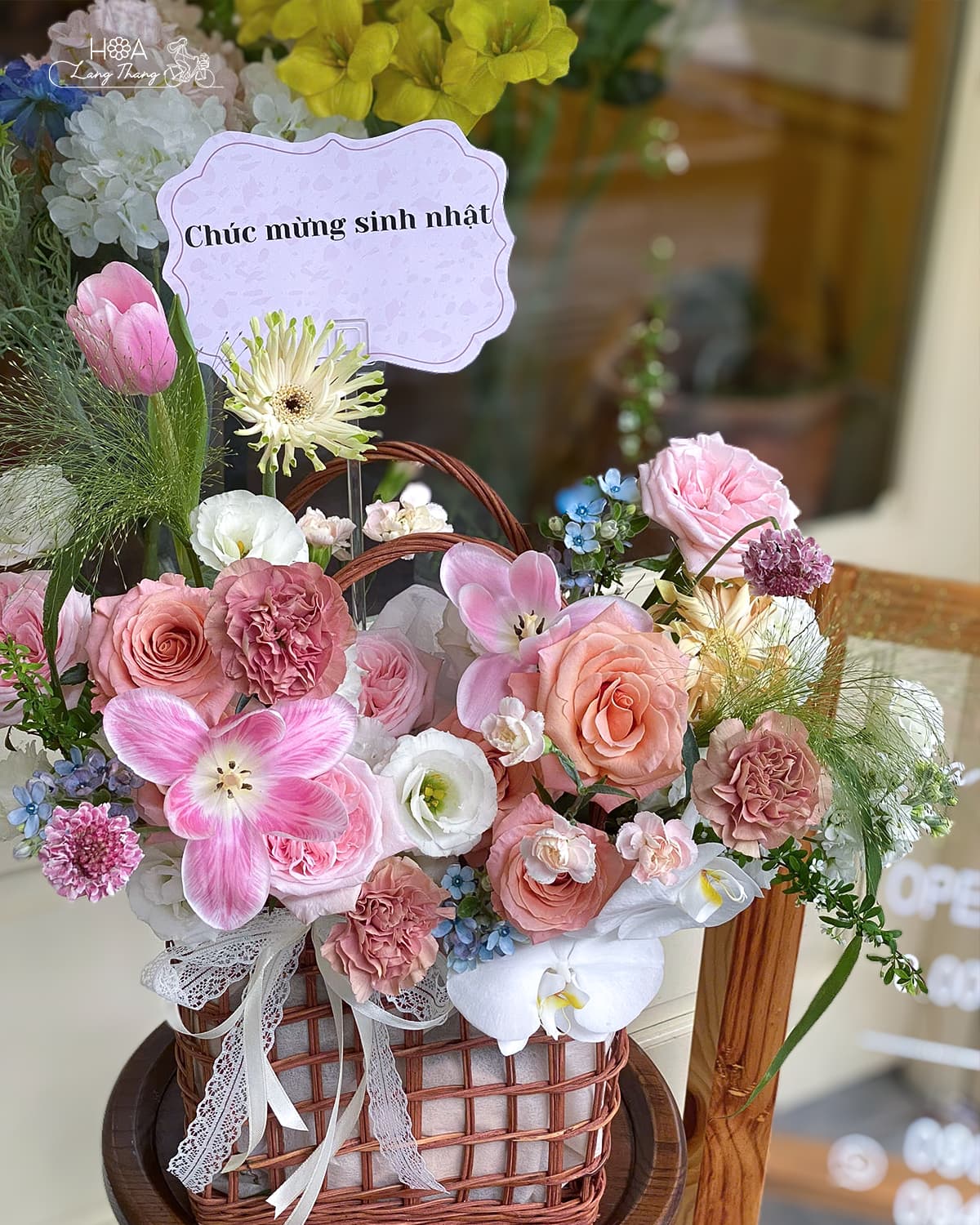 Lan Hồ Điệp Hồng Tặng Mẹ 8 Tháng 3 – Món Quà Tinh Tế Từ Trái Tim