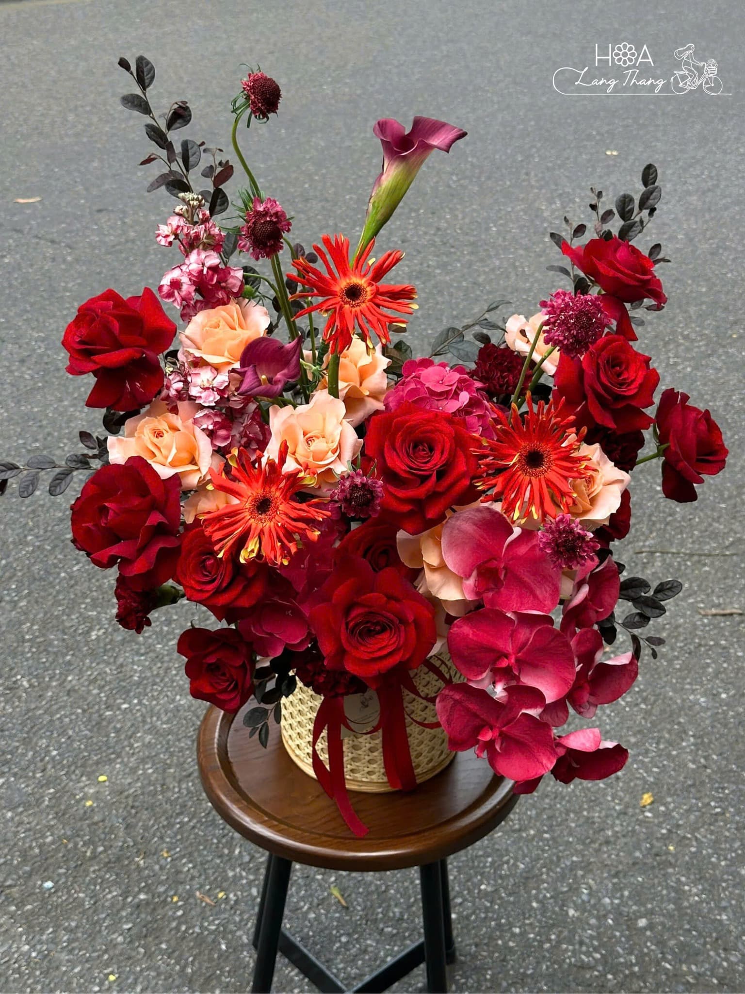 Hoa Phong Lan Vanda Xanh Nhập Khẩu – Vẻ Đẹp Quý Phái Từ Thiên Nhiên Nhiệt Đới