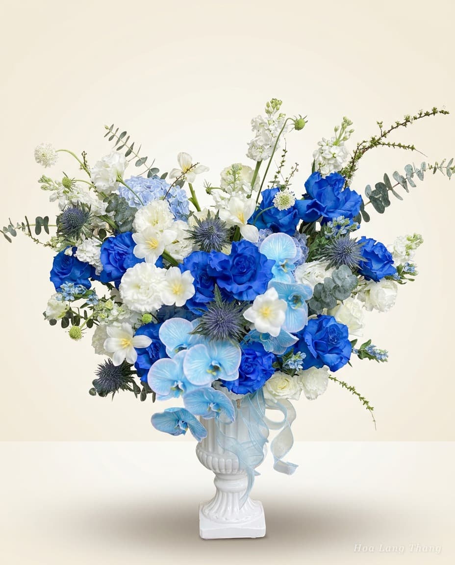 Celeste Opulence - Ảnh 1