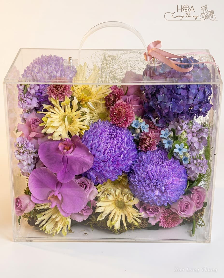 Lumière Violette - Ảnh 1