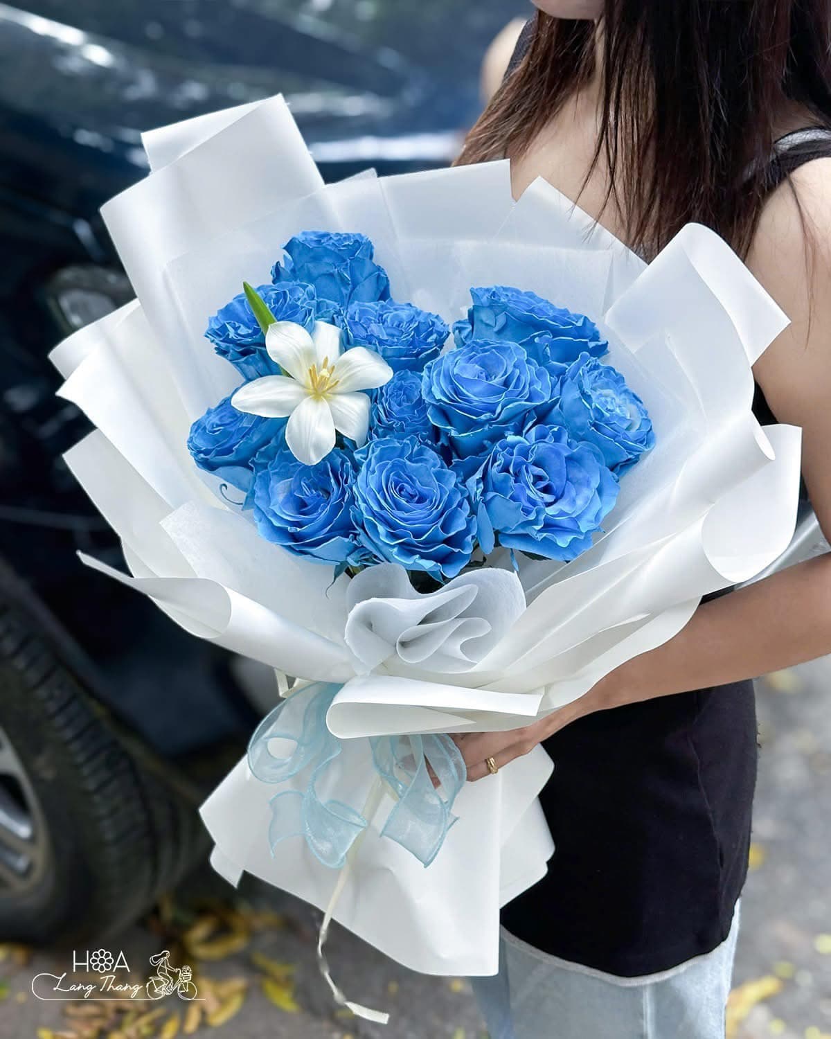 Azure Celeste - Ảnh 1