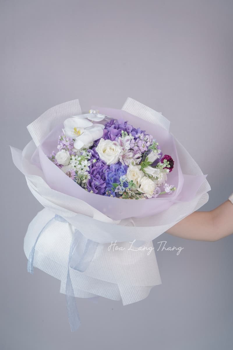 Hoa Freesia Nhập Khẩu Thơm Đẹp — Vẻ Thanh Lịch Từ Những Cánh Hoa Hà Lan