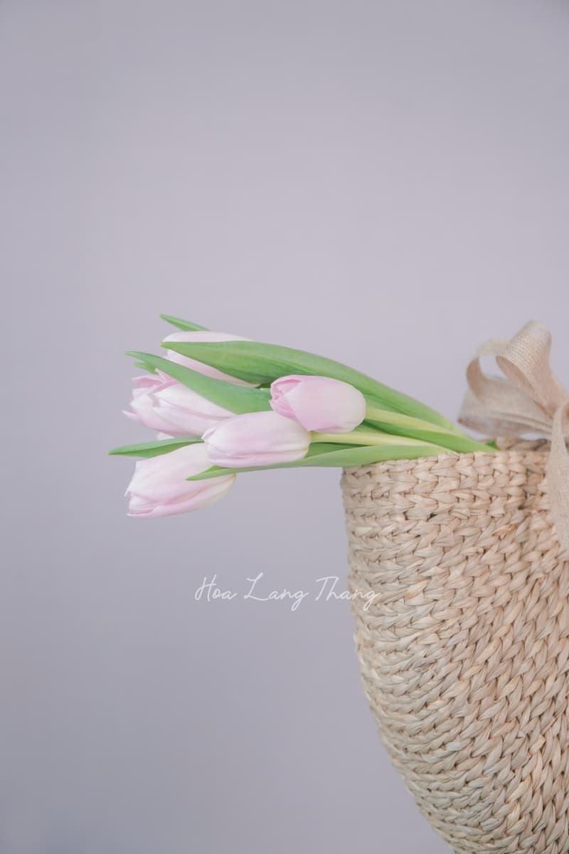 Hoa Gì Tặng Vợ Để Vợ Vui Nhất — Gợi Ý Từ Florist Hà Nội