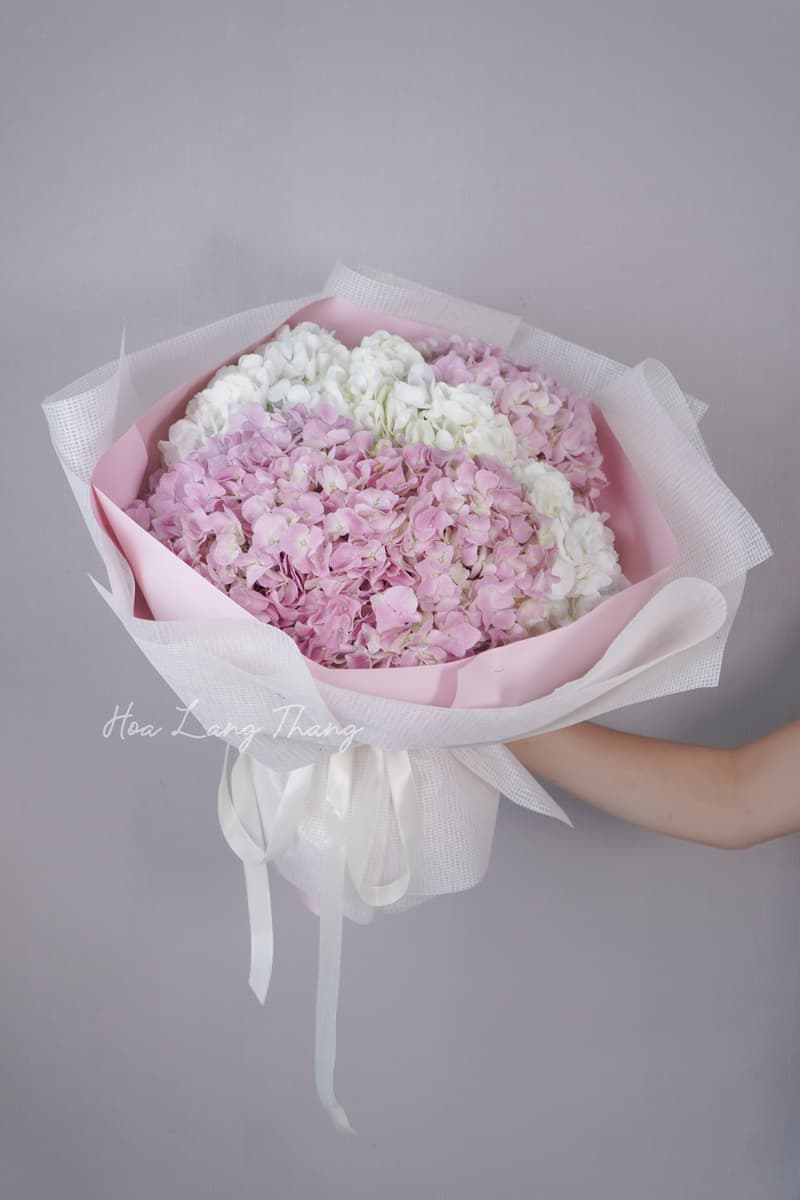 Hoa Mẫu Đơn (Peony) Nhập Khẩu — Nữ Hoàng Hoa Cao Cấp Tại Hà Nội