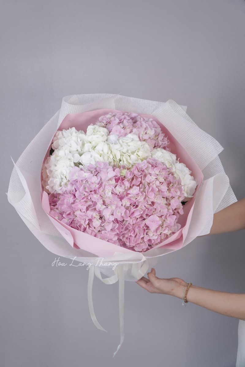 Hoa Phong Thủy Mệnh Mộc Nên Chọn Gì — Cẩm Nang Từ Chuyên Gia Hoa Cao Cấp