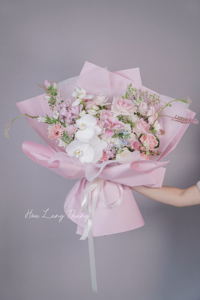 Ke Hoa Lan Hội Trường Cao Cấp – Hoa Lang Thang