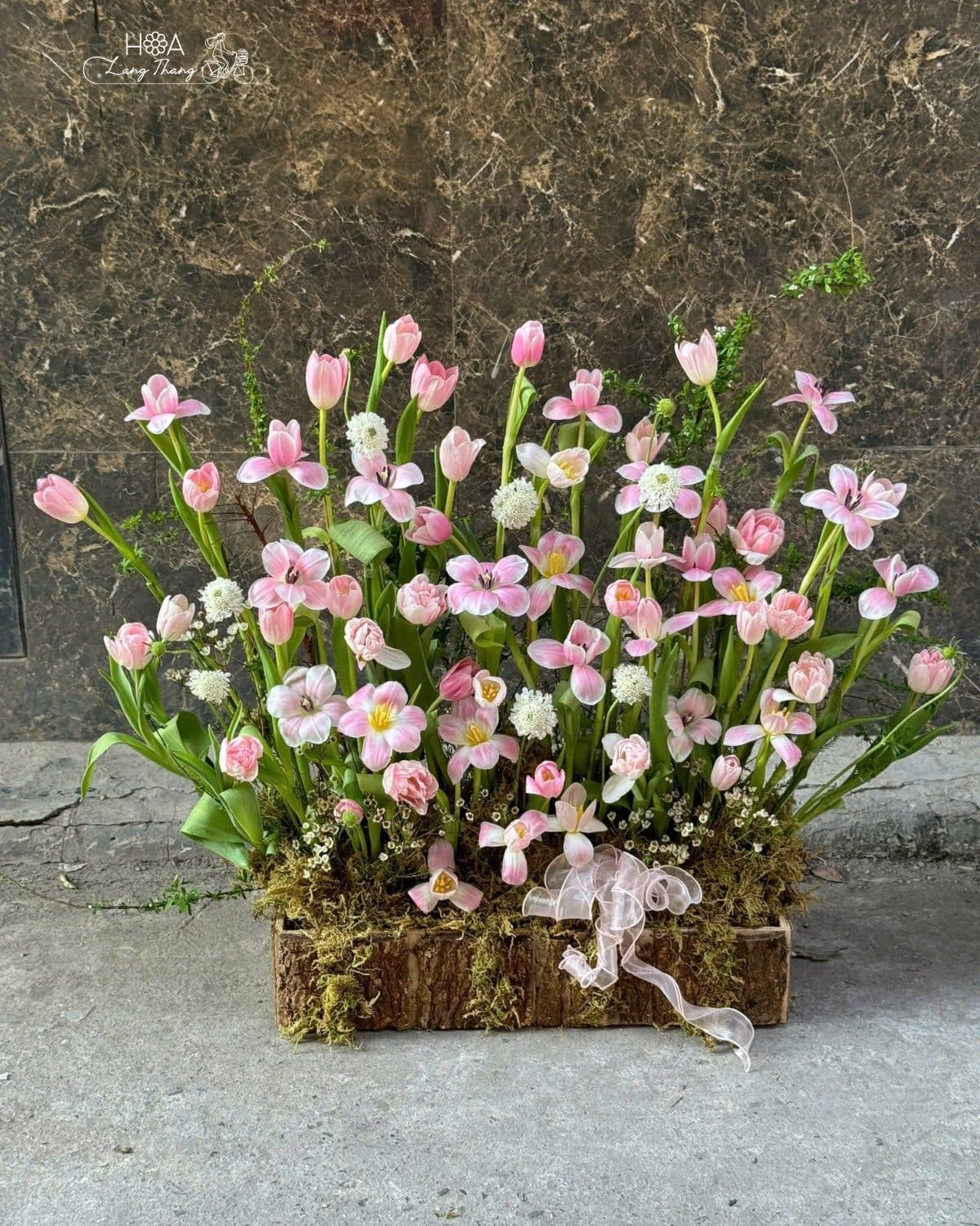 Hồng nhạt daisy sz to - Ảnh 1