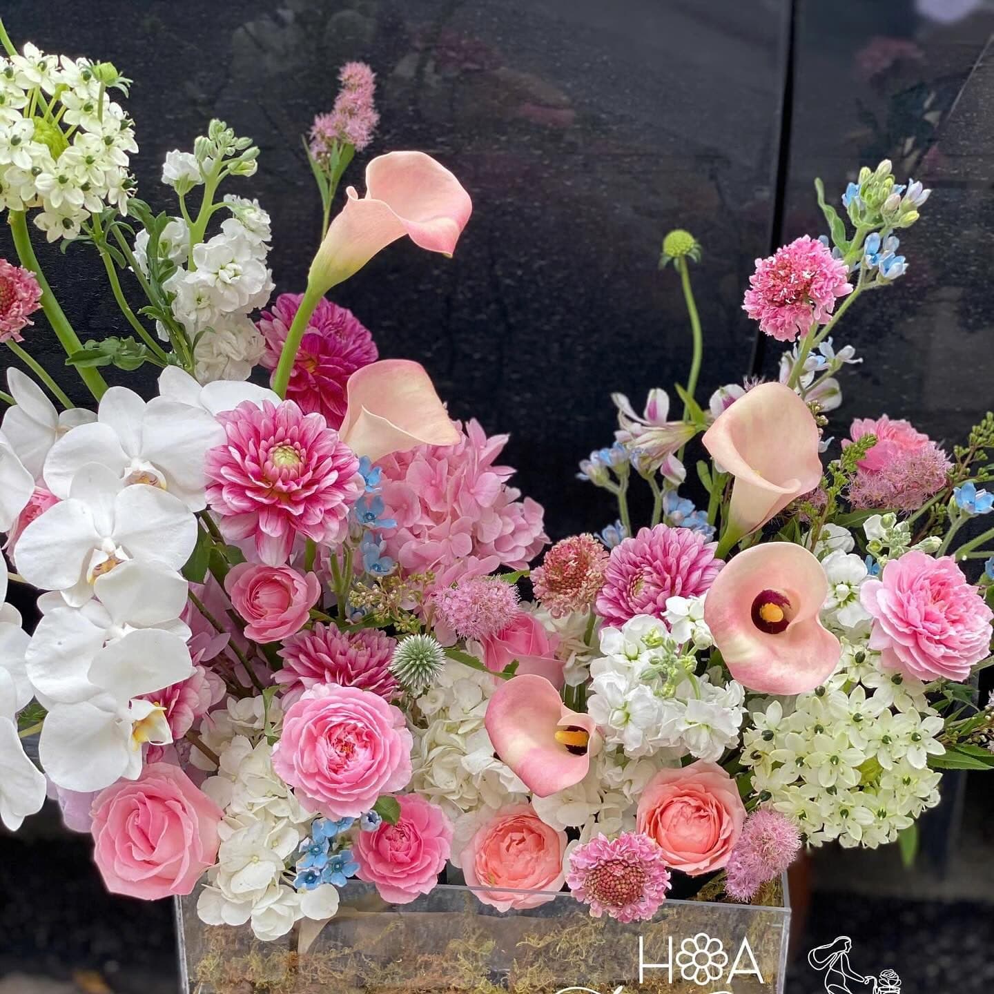 Box ngang garden mix - Ảnh 1