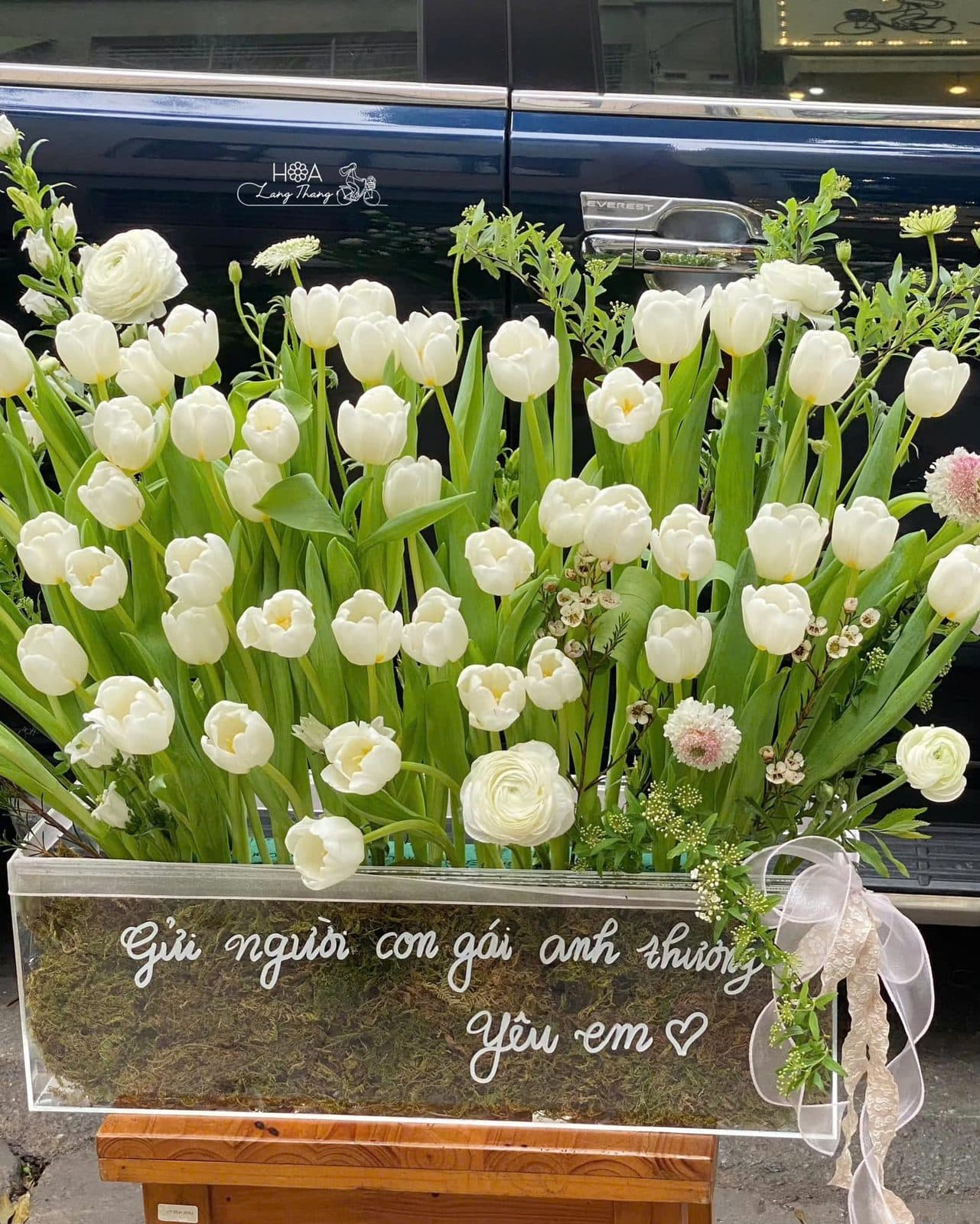 Tulip trắng sz to - Ảnh 1