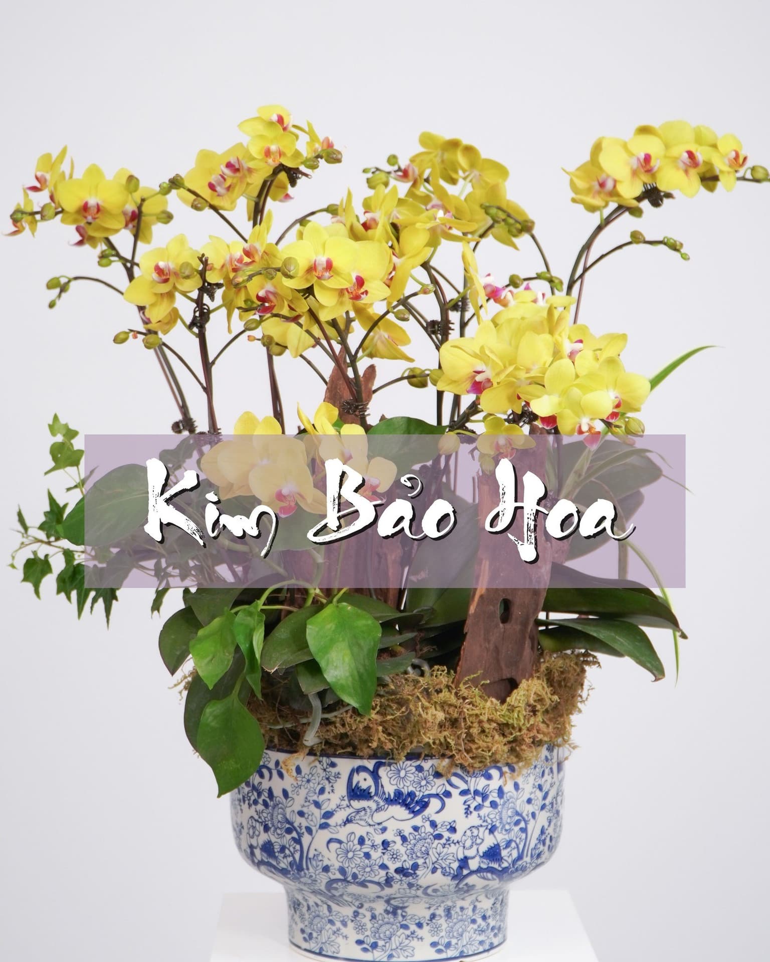 Giá hoa chia buồn Hà Nội: Tìm kiếm phù hợp