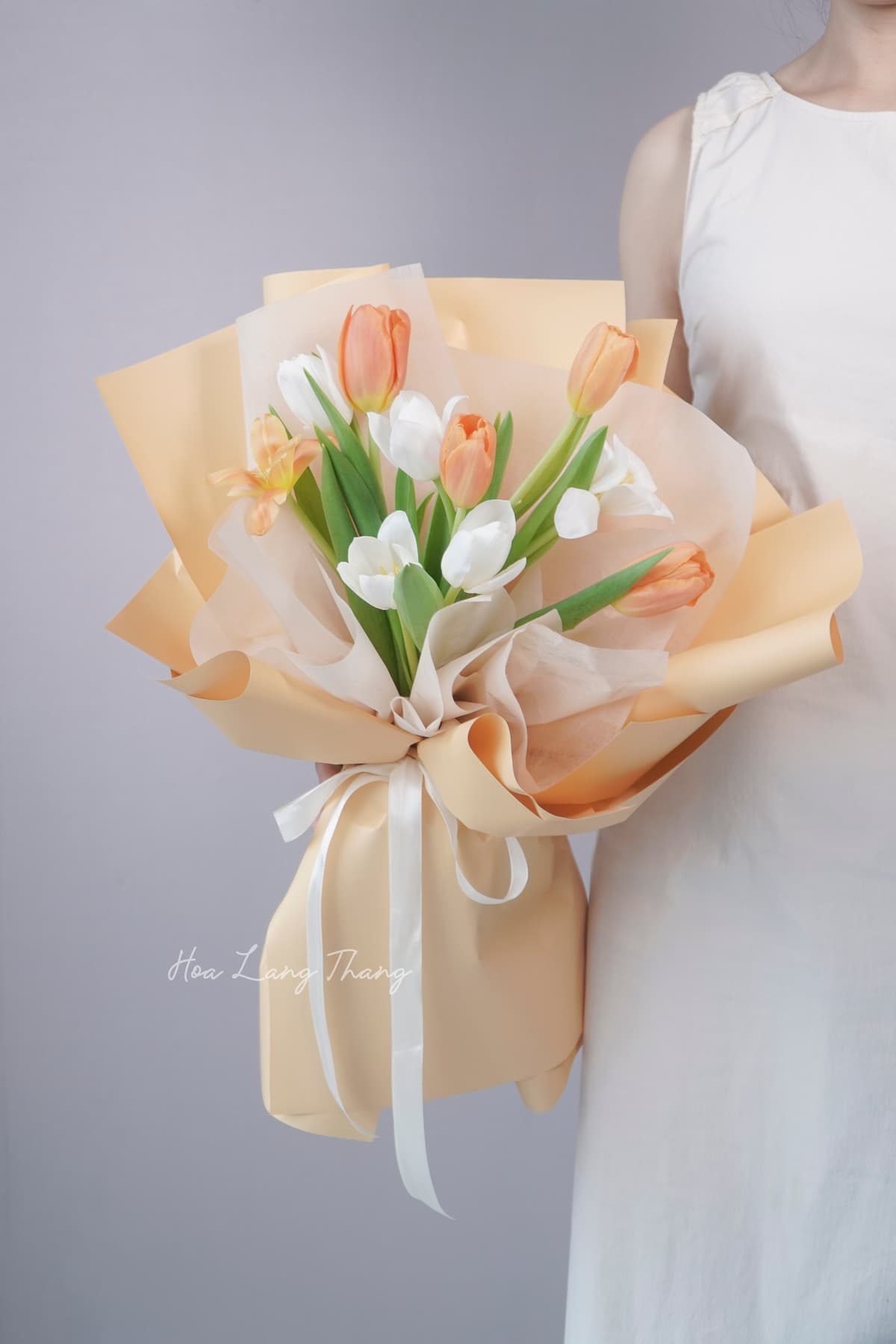 Aurora Tulip