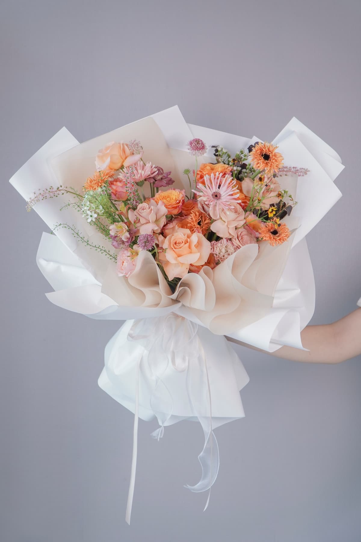 Éclatante Tulip - Ảnh 1
