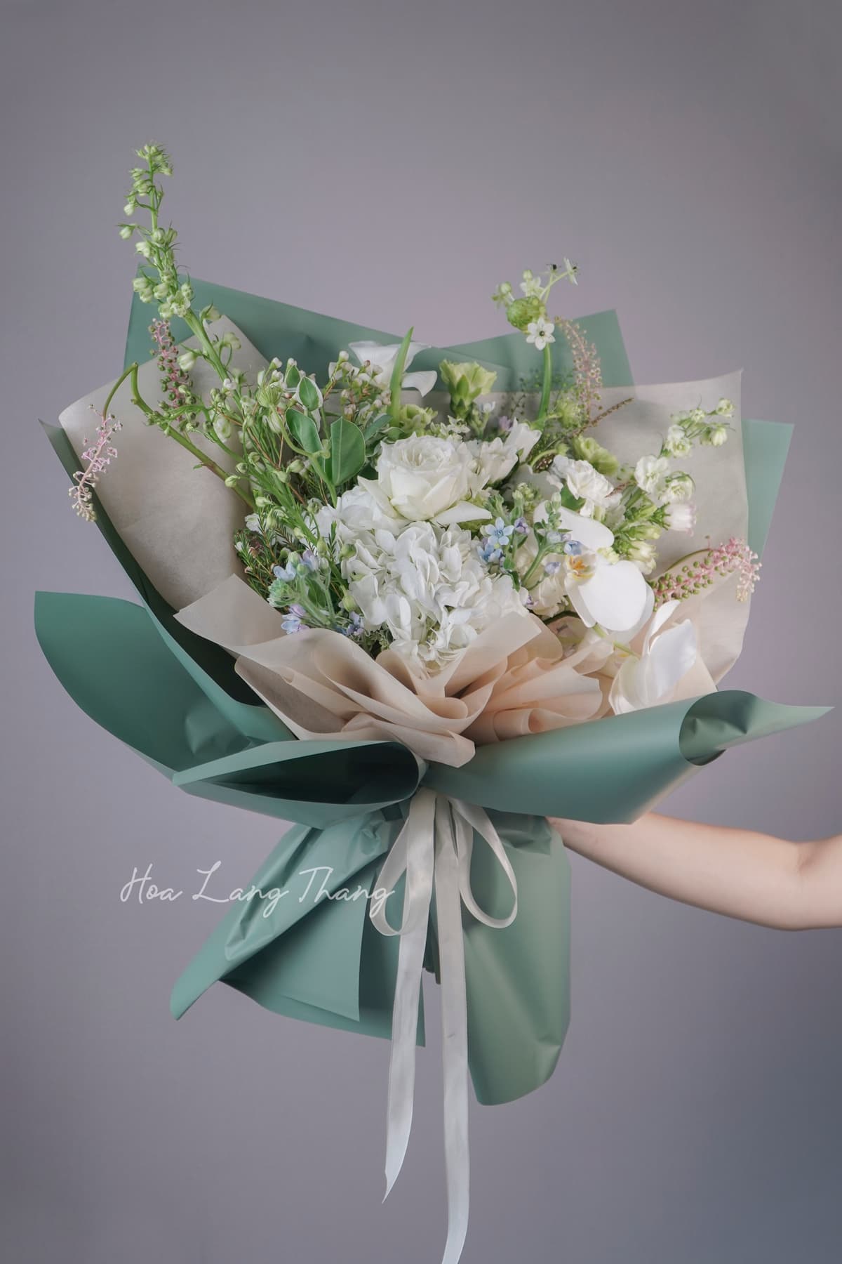 Lumière Rose - Ảnh 1