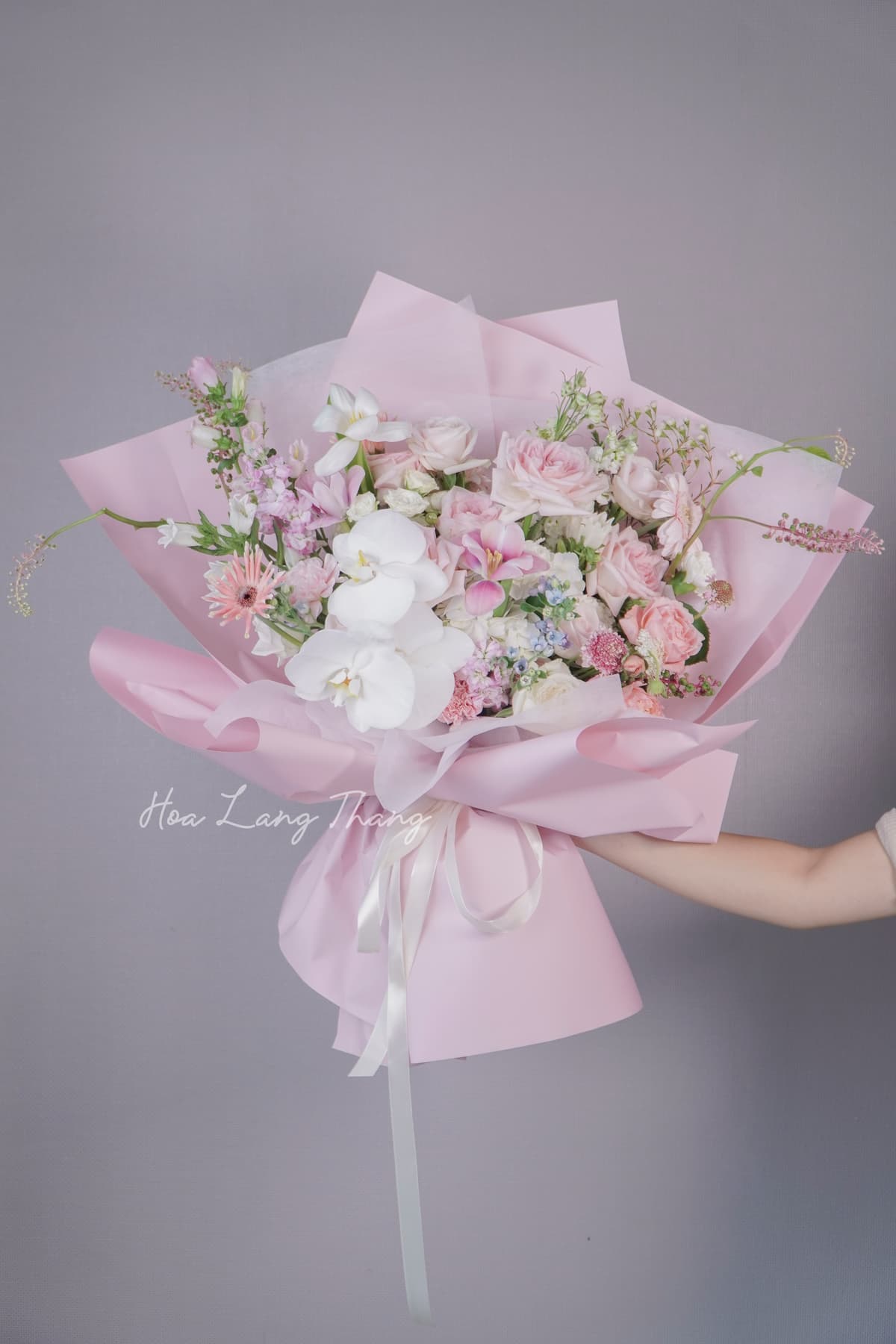 Rosalind Tulip - Ảnh 1
