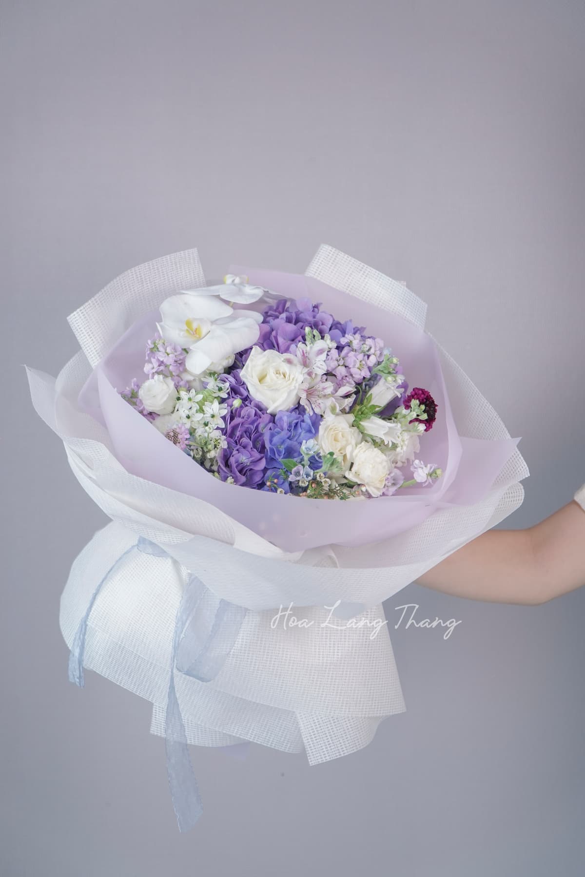Rouge Luxe - Ảnh 1